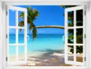 paradise
