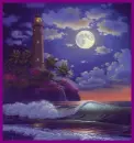 dolphin in the moonlight 