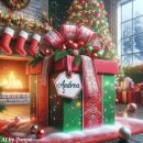 Christmas present (Andrea)