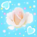 rose and hearts