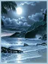 moon lit beach