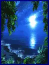 paradise at night