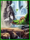 forest animals