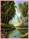peaceful forest