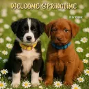 Welcome Springtime