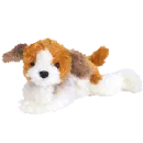 Sampson the dog