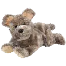Cutesy the dog