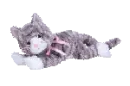 Aria the cat