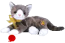 Cappuccino the cat