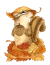 cute chipmunk