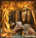 squirrels