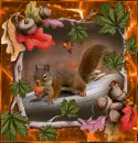 squirrel