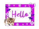 Hello