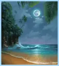 moon lit beach