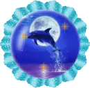 dolphins