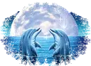 dolphins