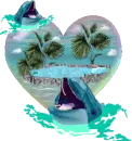 dolphins