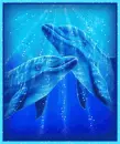 dolphins