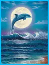 dolphin
