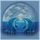 dolphins