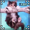 uh oh!