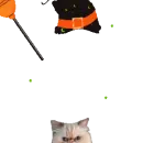 cat witch