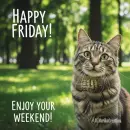 Happy weekend