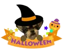 dog