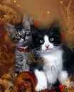 kittens