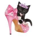 princess kitty