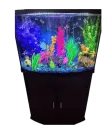 fish aquarium