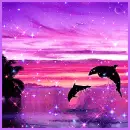 dolphins