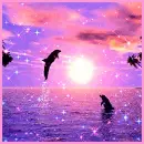 dolphins