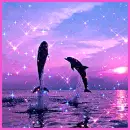 dolphins