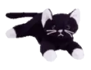 Zip the cat