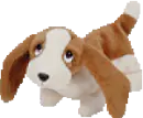 Tracker the basset