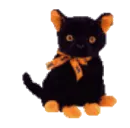 Fraidy the cat 