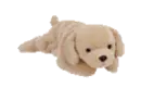 Fetch the golden retriever