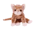 Amber the cat