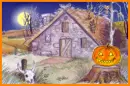 pumpkins in the moon light