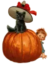boo