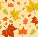autumn leaves