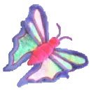Flitter the butterfly