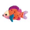 Lips the fish