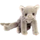 Scat the cat