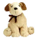 Rufus the dog