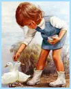 feeding the ducks
