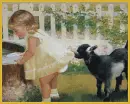 playful baby goat