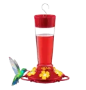 hummingbird