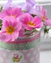 pink flowers